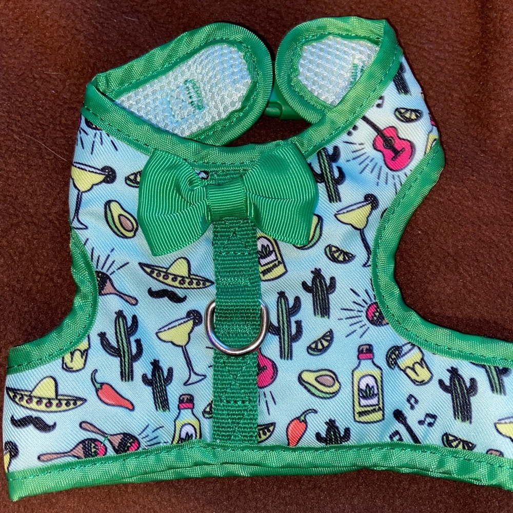 Taco Tuesday Harness and Dress Set- Size XS
